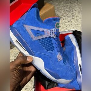 Air Jordan 4 Florida Gator 4